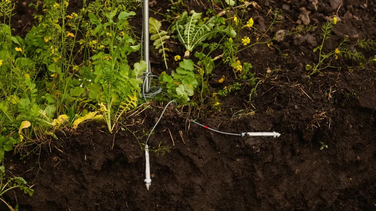 Two wired soil probes pushed horizontally into the wall of a soil pit at two depths, cable running up to the box