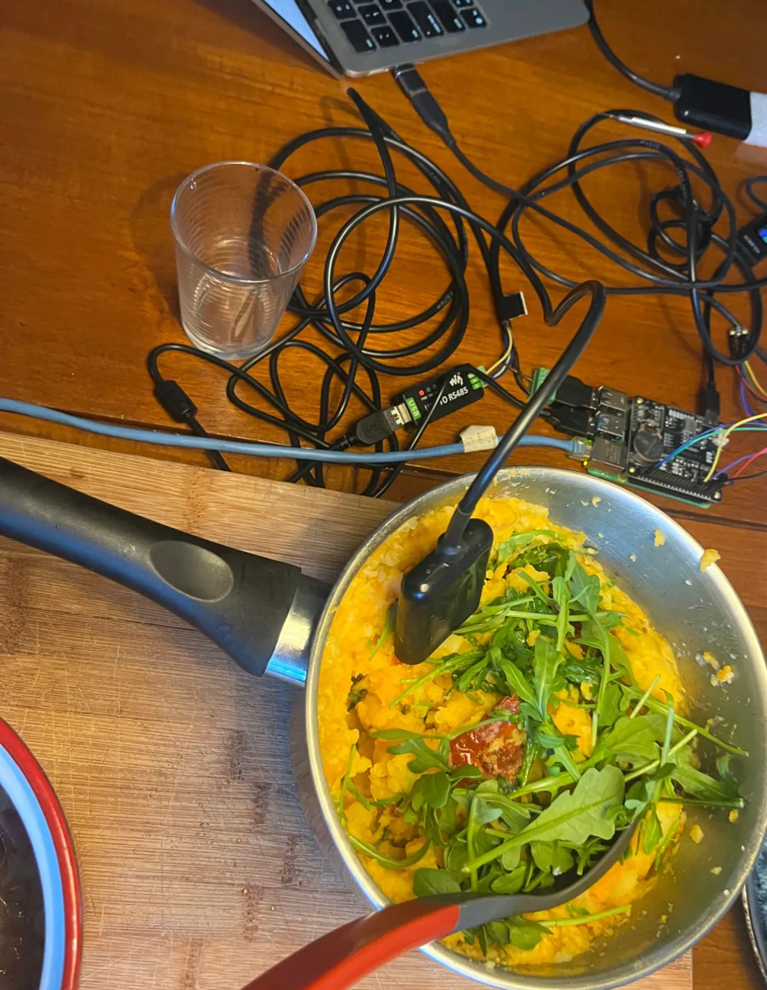 A soil probe standing in a pan of orange mash topped with rocket, on a wooden board; behind it the Raspberry Pi with the Witty Pi on top, the black RS485 adapter and a tangle of cables